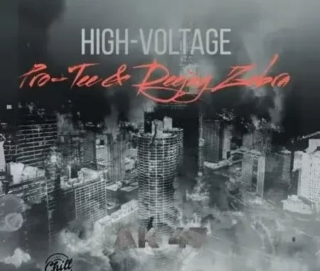 Pro Tee & Deejay Zebra – High Voltage