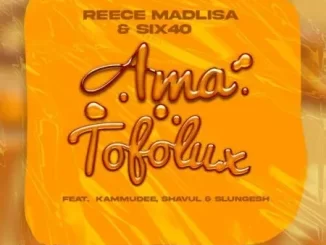 Reece Madlisa & six40 – Ama Tofolux ft Kammu Dee, Shavul & Slungesh