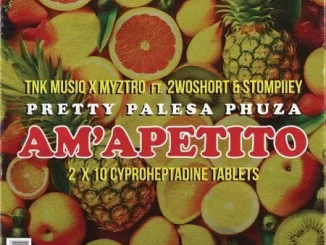 TNK MusiQ, Myztro & Xduppy – Am’apetito ft 2woshort & Stompiiey