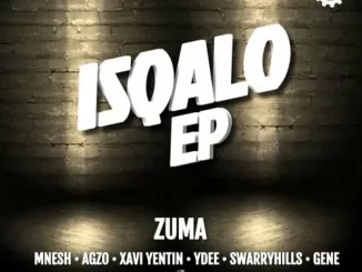 Umshini & Zuma – iMali Mali