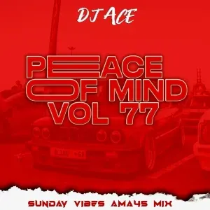 DJ Ace – Peace of Mind Vol 77