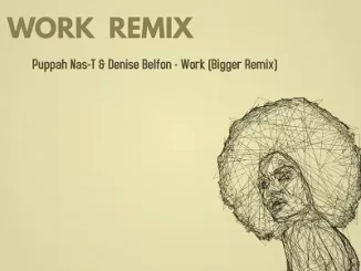 Puppah Nas T & Denise Belfon – Work (Bigger Remix)