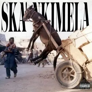 Tshego – SKA’ NKIMELA (Song)