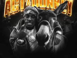 YoungBoy Never Broke Again Act A Donkey