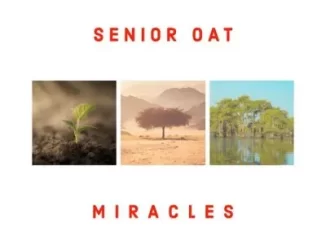 Senior Oat - The Only One ft Saltie