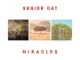 Senior Oat - Reason To Pray (Radio Edit) ft Ms Abbey & Andriana