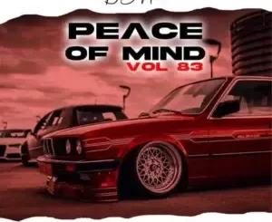 DJ Ace – Peace Of Mind Vol 83 (05 May 2024 Slow Jam Mix)