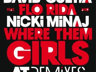 David Guetta Where Them Girls At (feat Nicki Minaj & Flo Rida) [Remixes]