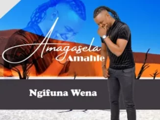 Stabhilithi – Amagasela Amahle (Ngifuna Wena)