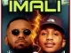 Kraizie & Emtee – Imali