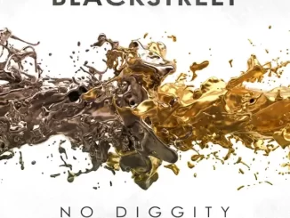 No Diggity (Re Recorded Sped Up)