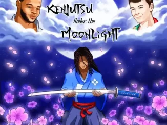 Noveliss Kenjutsu Under the Moonlight