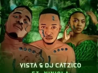 Vista & DJ Catzico – Dance To It ft Niniola