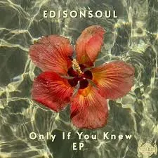 EdisonSoul - Only If You Knew (Original Mix)