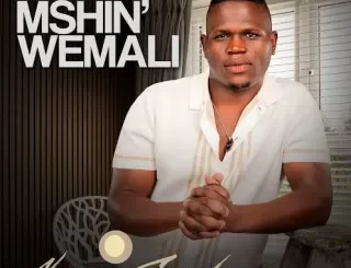 Mshinwemali - Ngena