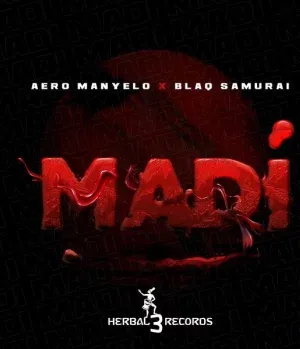 Aero Manyelo – Madi Ft Blaq Samurai