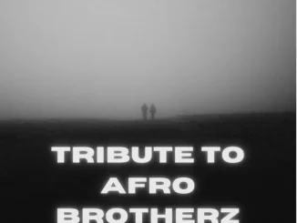 Afro Victimz – Tribute To Afro Brotherz