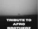 Afro Victimz – Tribute To Afro Brotherz