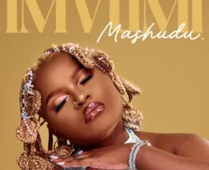 Mashudu – Imvumi