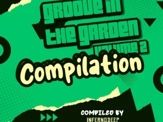 VA – Groove in the Garden Vol.2