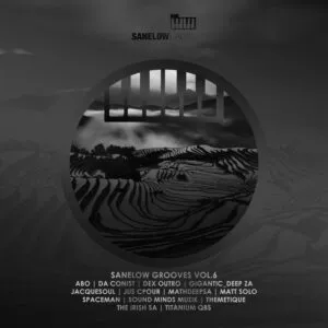 VA – Sanelow Grooves, Vol. 6