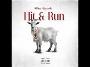 Woza Zakes – Hit & Run Ft Woza Logan