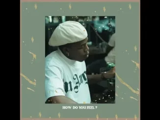 SETHUU – How Do You Feel ft Big (1)