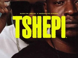 Sushi Da Deejay – Tshepi Ft. Mogomotsi Chosen, Mthetho The Law ,Stash Da Groovyest & Popza