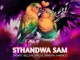 2point1 – Sthandwa Sam Ft BelloM, Epic DJ, Seneath & X Morizo