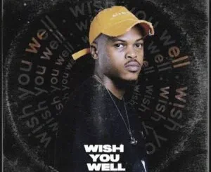 ZIDDO – WISH YOU WELL