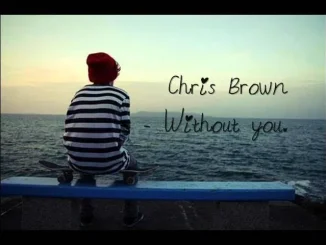 Chris Brown Without You