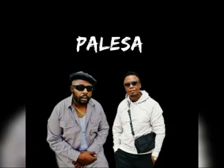 DJ Maphorisa – Palesa ft. Xduppy & Various artists