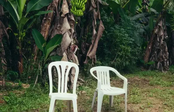 DeBÍ TiRAR MáS FOToS Bad Bunny