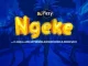 Dj Fizzy – Ngeke Ft. K Zaka, Luigi Anywhere, Rufaro Rcrds & Ekow Saxx