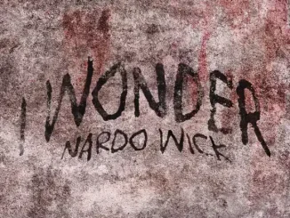 I Wonder Single Nardo Wick