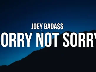 Joey Bada$$ Sorry Not Sorry