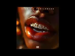 King P – Woza La ft Tumilemang