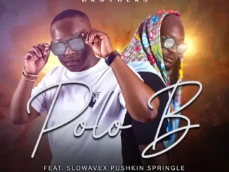 Kweyama Brothers Polo B (feat. Slowavex, Pushkin & Springle)