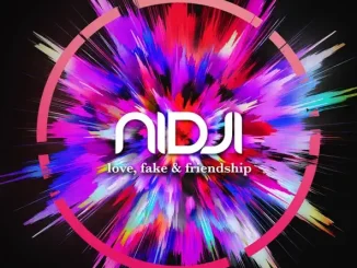 Love, Fake & Friendship Nidji