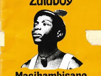 Masihambisane Zuluboy