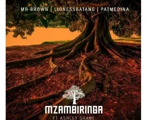 Mr Brown – Mzambiringa ft. LionessRatang, Pat Medina & Ashley Shane