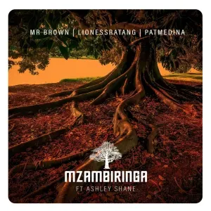 Mr Brown – Mzambiringa ft. LionessRatang, Pat Medina & Ashley Shane