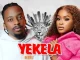 Mvzzle & Shandesh – Yekela ft. Bayor97