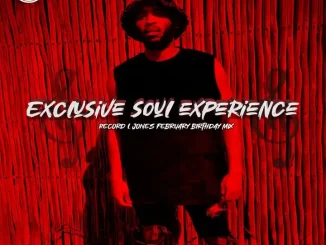 Record L Jones – Exclusive Soul Experience Vol 2 (Birthday Mix)