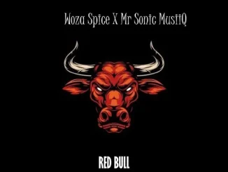 Woza Spice – Redbull Ft Mr Sonic MusiiQ