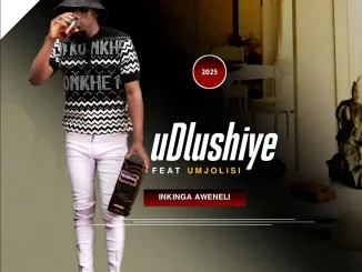 uDlushiye – Inkinga Aweneli ft uMjolisi