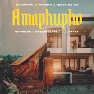 DJ Spyda Amaphupho ft. Tanaka, Tebza De DJ 031Wolfs, Breezybeats & Luvintage