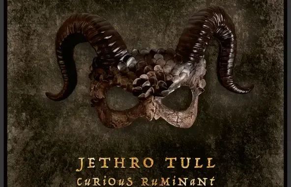 Jethro Tull Curious Ruminant