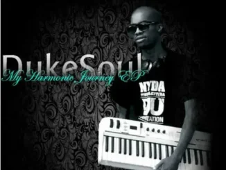 My Harmonic Journey DukeSoul