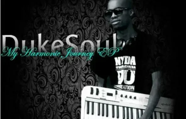 My Harmonic Journey DukeSoul